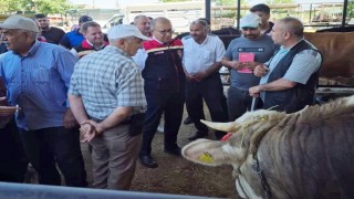 Aydında kurban satış yerleri denetleniyor