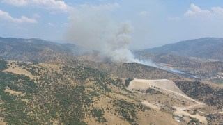 Aydında zirai alandaki yangın büyüyor