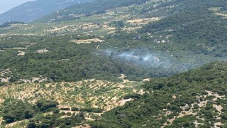 Aydındaki orman yangını kontrol altına alındı