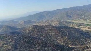 Aydındaki yangın kontrol altına alındı