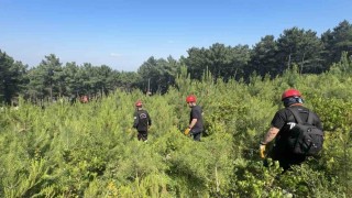 Aydos Ormanında kaybolan şahsı arama çalışmaları devam ediyor