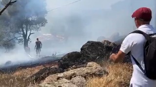 Ayvalıkta orman yangını