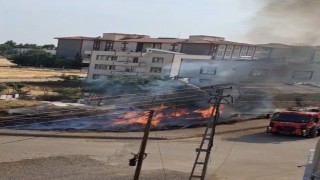 Bahçede yakılan ateş anız yangınına neden oldu