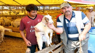Bahçelievler kurban pazarı hem alıcıların hem de satıcıların yüzünü güldürdü