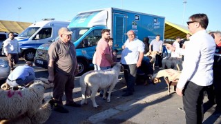 Bahçelievlerde kurban pazarı yoğunluğu