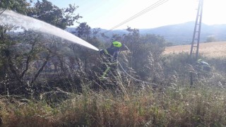 Balıkesir İtfaiyesi 9 günde 730 yangına müdahale etti