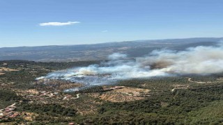 Balıkesirde araziden ormana sıçrayan yangına müdahale sürüyor