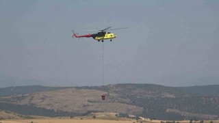 Balıkesirde orman yangını