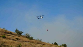 Balıkesirdeki orman yangınlarına havadan ve karadan müdahale sürüyor
