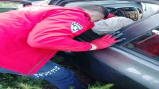 Balyada otomobil şarampole uçtu; 1 yaralı