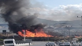 Bandırma OSBde palet yangını: Ekipler faciayı önledi