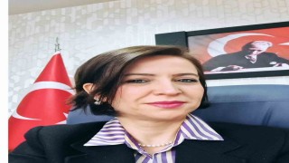 Başhekim Dinçel Aydın İl Sağlık Müdürlüğüne Sağlık Hizmetleri Başkanı olarak atandı