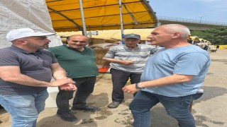 Başkan Altıkulaç: İstanbula sevk edilen kurbanlıkların tamamına yakını satıldı