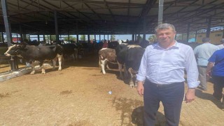 Başkan Künkcü hayvan pazarına indi