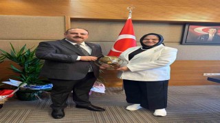 Başkan Serhat Hamamcının Ankara temasları devam ediyor