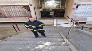 Batmanda bina girişinde bulunan yılan doğal yaşam alanına bırakıldı