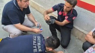 Batmanda ebabil kuşları için seferberlik
