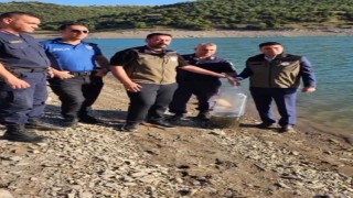 Bayatdaki gölet ve sulak alanlara 10 bin sazan balığı yavrusu bırakıldı