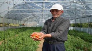 Bayburtlu çiftçinin yıkılan serası devlet eliyle yeniden ayağa kaldırıldı