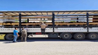 Bayburtta kurban sevki denetimleri sürüyor