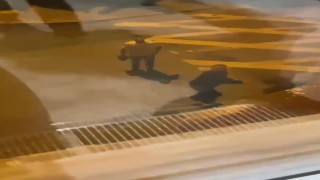Bayrampaşada boşanma aşamasındaki eşinin yakınları dehşeti yaşattı