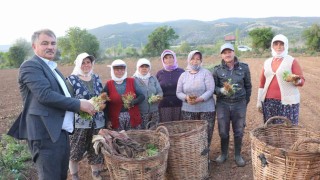Beyağaçta tütün kırım ve biçerdöver ücretleri belirlendi