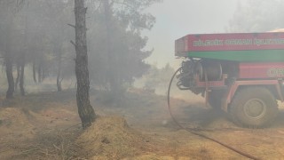 Bilecikte buğday tarlasında çıkan yangın ormanlık alana sıçradı