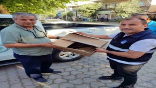 Bilecikte yaralı olarak bulunan atmaca koruma altına alındı