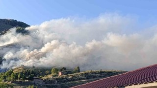 Bingölde ağaçlık alanda yangın