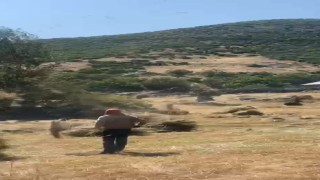 Bingölde hortum otları uçurdu