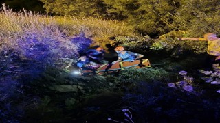 Bingölde trafik kazası: 2 yaralı