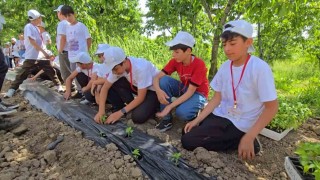 Bingölde TÜBİTAK 4004 başarısı