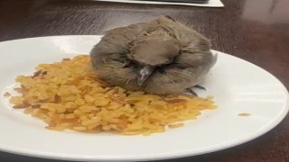 Bitkin düşen kuşu esnaf yemek ve suyla besledi
