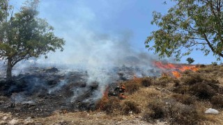 Bodrum Türkbükünde makilik yangını
