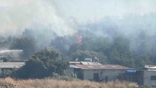 Bodrumda makilik alanda yangın paniği