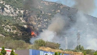 Bodrumda makilik ve ormanlık alanda yangın çıktı