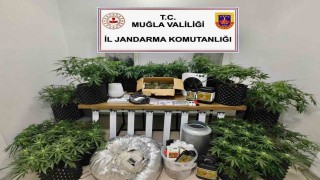 Bodrumda uyuşturucu baskını: 2 gözaltı