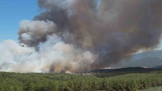 Bornovadaki yangın büyüdü; 8 uçak ve 17 helikopterle müdahale sürüyor