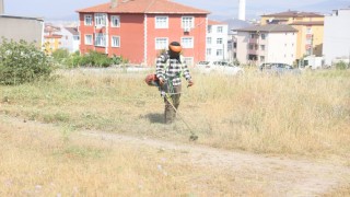 Boş arazilerdeki otlar biçiliyor