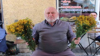 Bu çiçek hediye için değil sağlık için alınıyor