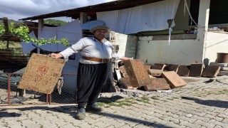 Bu da Adana usulü sinekle mücadele