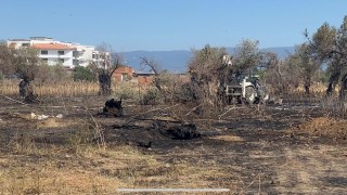 Burhaniyede çıkan yangında çok sayıda zeytin ağacı kül oldu