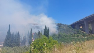 Bursada çam ormanı yanıyor