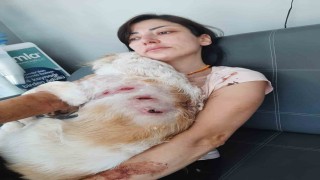 Bursada kangal dehşeti...O anlar kamerada