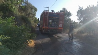 Bursada karga yangına neden oldu