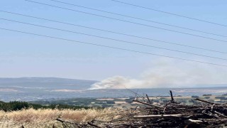 Bursada Kayapa bölgesinde orman yangını
