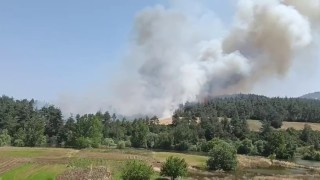 Bursada orman yangını: Taş ocakları mevkiindeki yangına karadan ve havadan müdahale