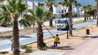 Büyükşehir Belediyesinden Davutlar ve Güzelçamlıda kapsamlı çalışma