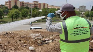 Büyükşehir belediyesinden ilaçlama seferberliği