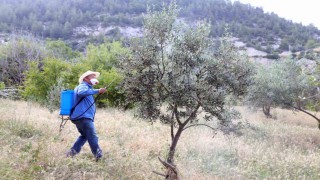 Büyükşehir, dolu felaketinin yaralarını sarıyor